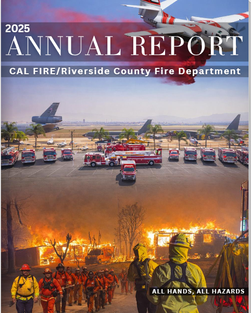2025 annual report image